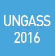 ABOUT THE UNGASS