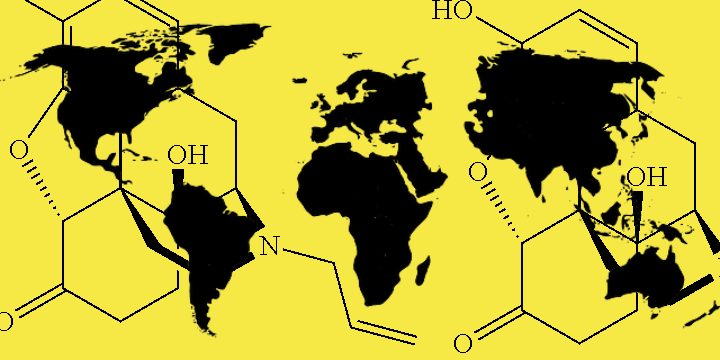 Survey on Global Naloxone Access