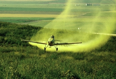 The Twisted Legacy of Colombia's Aerial Cocaine Crop Spraying Programme