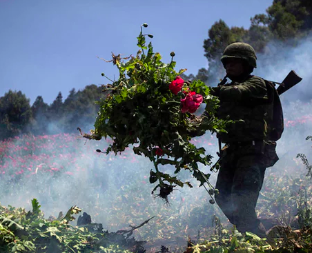 Mexico's war on drugs: what has it achieved and how is the US involved?