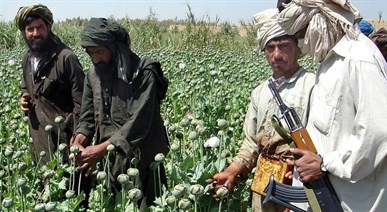 1-afghanistan -opium-